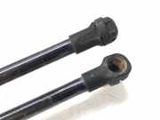 Gasdruckfedern Set Hinten 10C12C1 Mazda 6 (GH12/GHA2) Limousine 2.2 CDVi 16V 130 (R2)