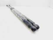 Gasdruckfedern Set Hinten AM51U406A10AE Ford Grand C-Max (DXA) Großraumlimousine 1.0 Ti-VCT EcoBoost 12V 125 (M1DA)