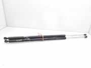 Gasdruckfedern Set Hinten 8200021974 Renault Espace (JK) Großraumlimousine 2.2 dCi 16V (G9T-742)