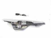 Türgriff Außen Ra DK6224994GE Land + Range Rover Range Rover Sport (LW) Geländewagen 3.0 TDV6 (306DT)