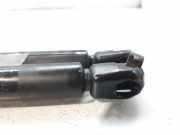 Gasdruckfedern Set Hinten 844309F500 Nissan Primera (P11) Limousine 1.6 16V (QG16DE)