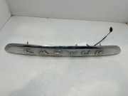 Kennzeichenbeleuchtung 848101082R Renault Zen 90 CV / 66 KW