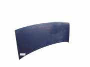 Motorhaube 7901H2 Citroën Jumpy (U64) Großraumlimousine 1.9 Di (DW8(WJZ))