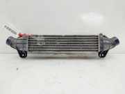 Ladeluftkühler 1S7Q9L440AF Ford BERLINA (GE) Ambiente (06.2003->) (D) 116 CV / 85 KW