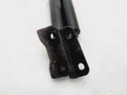 Gasdruckfedern Set Hinten 1687264680 Citroën C4 Aircross (BU) SUV 1.6 HDi 16V 115 (DV6C(9HD))