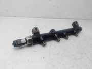 Einspritzdüsen Düsenstock A6640700295 SsangYong Kyron SUV 2.0 200 Xdi 16V 4x2 (OM664.950)