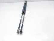 Gasdruckfedern Set Hinten 51248402405 BMW X5 (E53) SUV 3.0d 24V (M57-D30(306D1))