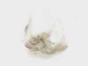 Scheibenwaschbehälter 8200104706C Renault Megane II (LM) Limousine 1.9 dCi 120 (F9Q-800)