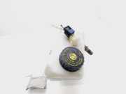 Hauptzylinder 460110001R Renault Laguna III Estate (KT) Kombi 5-drs 2.0 dCi 16V 130 (M9R-744)