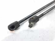 Gasdruckfedern Set Hinten 817701C001 Hyundai Getz Schrägheck 1.1i 12V (G4HD)