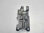 T?rgriff Innen Rechts Hinten FVC500080GDG Land + Range Rover Freelander Hard Top Gel?ndewagen 2.0 td4 16V (204D3)