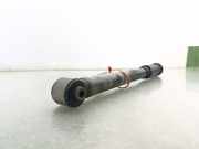 Stoßdämpfer Links Hinten 55310B9050 Hyundai i10 (B5) Schrägheck 1.0 12V (G3LA)