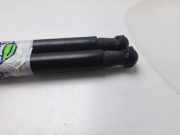 Gasdruckfedern Set Hinten 069600F030 Toyota Verso Großraumlimousine 2.0 16V D-4D-F (1AD-FTV)