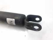 Stoßdämpfer Links Hinten 55300A6440 Kia Ceed (CDB5/CDBB) Schrägheck 5-drs 1.4i 16V (G4LC)