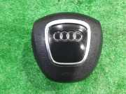 Airbag Set 8E1857067D Audi A4 Avant (B7) Kombi 2.0 TDI 16V (BLB)