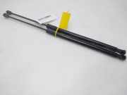 Gasdruckfedern Set Hinten 9837613380 Citroën C5 X (NC/ND) SUV 1.6 PureTech 180 (EP6FADTXD(5GF))
