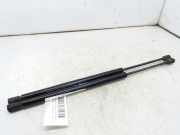 Gasdruckfedern Set Hinten 61218633613 Renault SCENIC II Confort Dynamique 101 CV / 74 KW