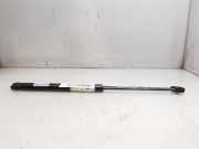 Gasdruckfedern Set Hinten 8200377199 Renault SCENIC II Confort Dynamique 131 CV / 96 KW