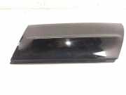 Zierleiste ACHTERLICHT ACHTERLICHT CN15N29149ADW Ford EcoSport (JK8) SUV 1.5 Ti-VCT 16V (UEJB(Euro 5))