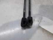 Gasdruckfedern Set Hinten 3M51R406A10AB Ford Focus C-Max Großraumlimousine 1.6 TDCi 16V (G8DA)