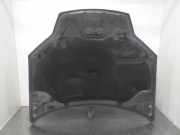 Motorhaube 651000021R Renault Laguna III (BT) Schrägheck 5-drs 2.0 dCi 16V 150 (M9R-742)