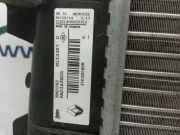 Radiator 214100002R Renault Scénic III (JZ) Großraumlimousine 1.5 dCi 110 (K9K-636)