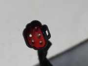 Kennzeichenbeleuchtung 8A61A43404BCW Ford (CCN) Trend 95 CV / 70 KW