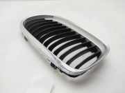 Grill 51137201967 BMW 3 serie (E90) Limousine 318i 16V (N43-B20A)