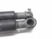 Gasdruckfedern Set Hinten 1S71F406A10 Ford BERLINA (GE) Ambiente 131 CV / 96 KW