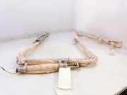 Vorhang Airbag Links VOOR VOOR BAMPT11624 Toyota Prius (ZVW3) Schrägheck 1.8 16V (2ZRFXE)