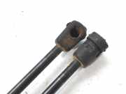 Gasdruckfedern Set Hinten 81780C8010 Hyundai i20 (GBB) Schrägheck 1.2i 16V (G4LA)