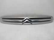 Grill 9650059677 Citroën Xsara Picasso (CH) Großraumlimousine 2.0 HDi 90 (DW10TD(RHY))