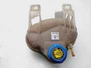 Ausgleichbehälter - - 55700508 Fiat Punto Evo (199) Schrägheck 1.2 Euro 5 (169.A.4000)