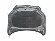 Motorhaube 4L0823029A Audi Q7 (4LB) SUV 3.0 TDI V6 24V (BUG)