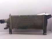Ladeluftkühler 14461EB360 Nissan Navara (D40) Pick-up 2.5 dCi 16V 4x4 (YD25DDTi)