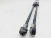 Gasdruckfedern Set Hinten 51778432 Opel Meriva (B) Großraumlimousine 1.4 16V Ecotec (A14XER)