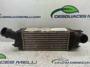 Ladeluftkühler 992506V Peugeot 407 (6D) Limousine 2.0 HDiF 16V (DW10CTED4(RHH))