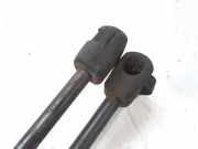 Gasdruckfedern Set Hinten 51812267 Fiat Bravo (198A) Schrägheck 1.6 JTD Multijet 105 (198.A.3000)