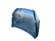 Motorhaube 5330142080 Toyota RAV4 (A3) Geländewagen 2.2 D-CAT 16V 4x4 (2AD-FHV)