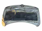 Motorhaube 5900A129 Mitsubishi Grandis (NA) Großraumlimousine 2.0 DI-D 16V (BSY)