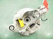 Achsschenkel Halter Links Hinten LR068884 Land + Range Rover Range Rover Evoque (LVJ/LVS) SUV 2.0 D 150 16V 5-drs. (204DTD)