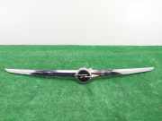 Handgriff Kofferraum 13244388 Opel INSIGNIA BERLINA Cosmo 131 CV / 96 KW