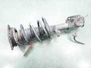 Stoßdämpfer Links Vorne 543025668R Renault Laguna III (BT) Schrägheck 5-drs 2.0 dCi 16V 130 (M9R-744)