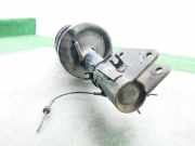 Stoßdämpfer Links Vorne 543029774R Renault MASTER KIPPER L2H1 3.5t 125 CV / 92 KW