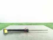 Stoßdämpfer Rechts Hinten 51950104 Lancia Delta (844) Schrägheck 2.0 D Multijet 16V 165 (198.A.5000)