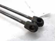 Gasdruckfedern Set Hinten A2118800029 Mercedes-Benz E (W211) Limousine 2.2 E-220 CDI 16V (OM646.961)