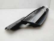 Grill 96618859 Daewoo / Chevrolet Kalos (SF69) Limousine 1.4 (F14S3)