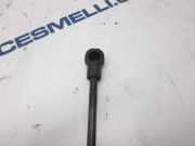 Gasdruckfeder Set Vorne 8200130187 Renault SCENIC II Privilege 112 CV / 82 KW