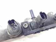 Einspritzdüsen Düsenstock 0445214017 Peugeot 607 (9D/U) Limousine 2.2 HDi 16V FAP (DW12TED4(4HX))