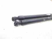 Gasdruckfeder Set Vorne 96636673 Daewoo / Chevrolet Epica Limousine 2.0 D 16V (Z20S)